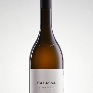 230207-DF-Balassa-Szent-Tamás-2021